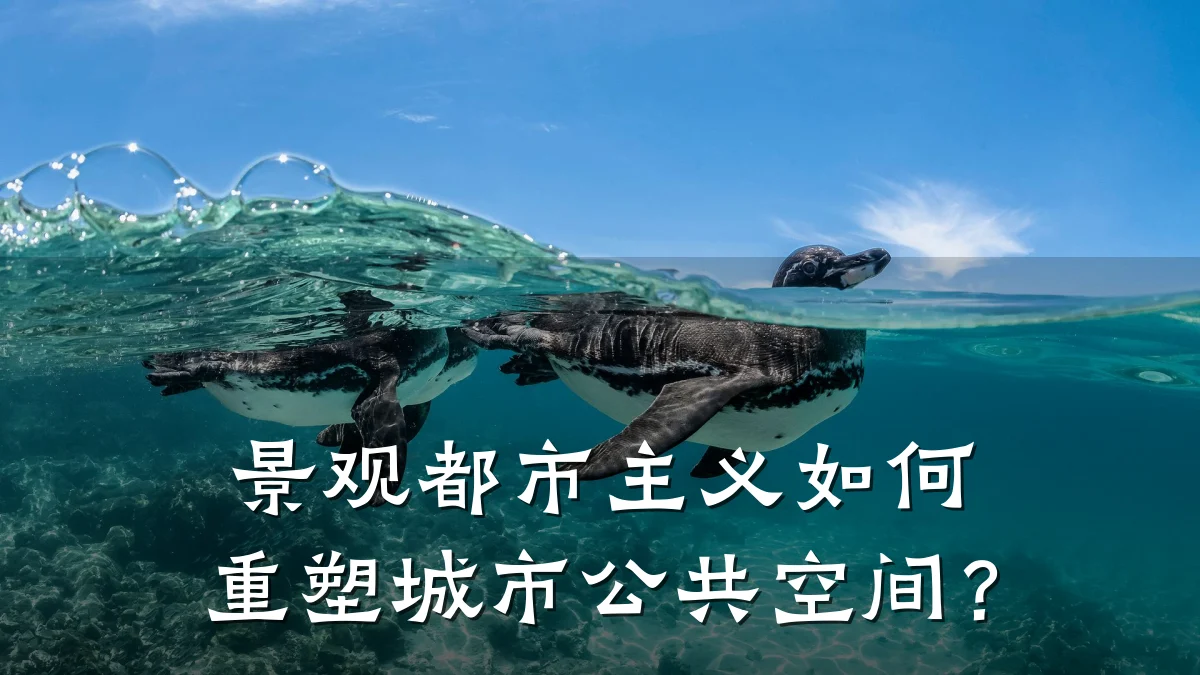 景观都市主义如何重塑城市公共空间?