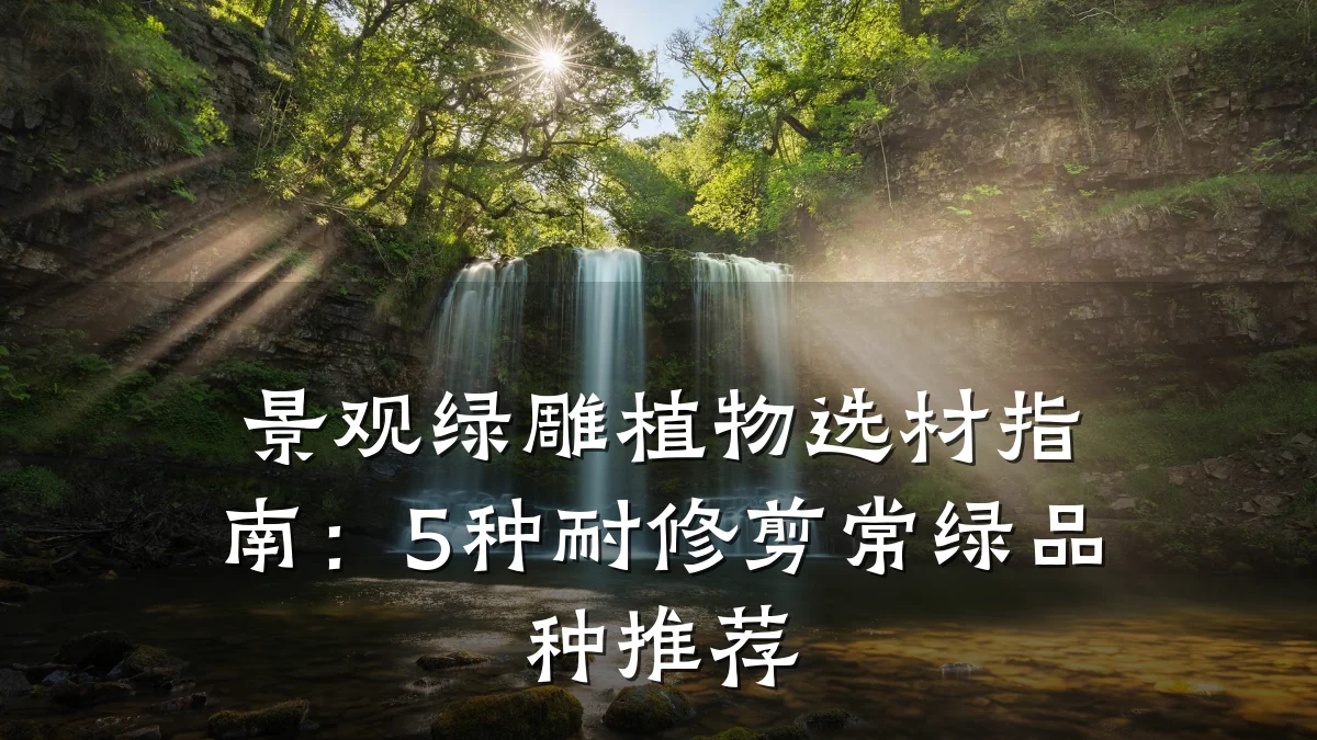 景观绿雕植物选材指南:5种耐修剪常绿品种推荐