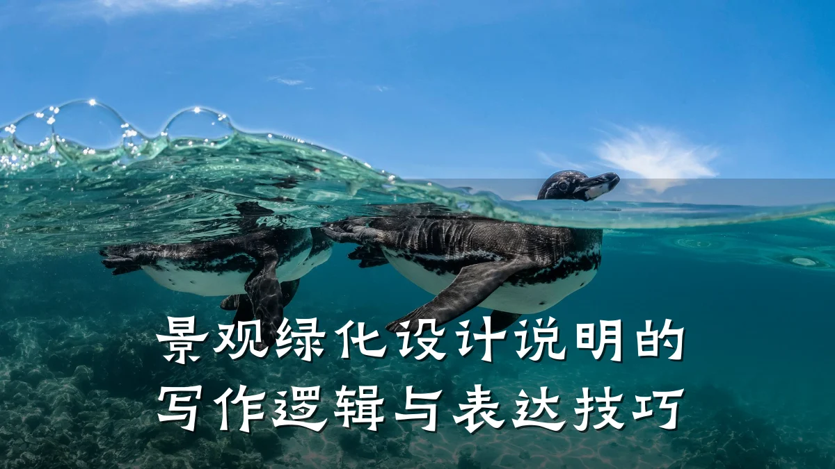 景观绿化设计说明的写作逻辑与表达技巧