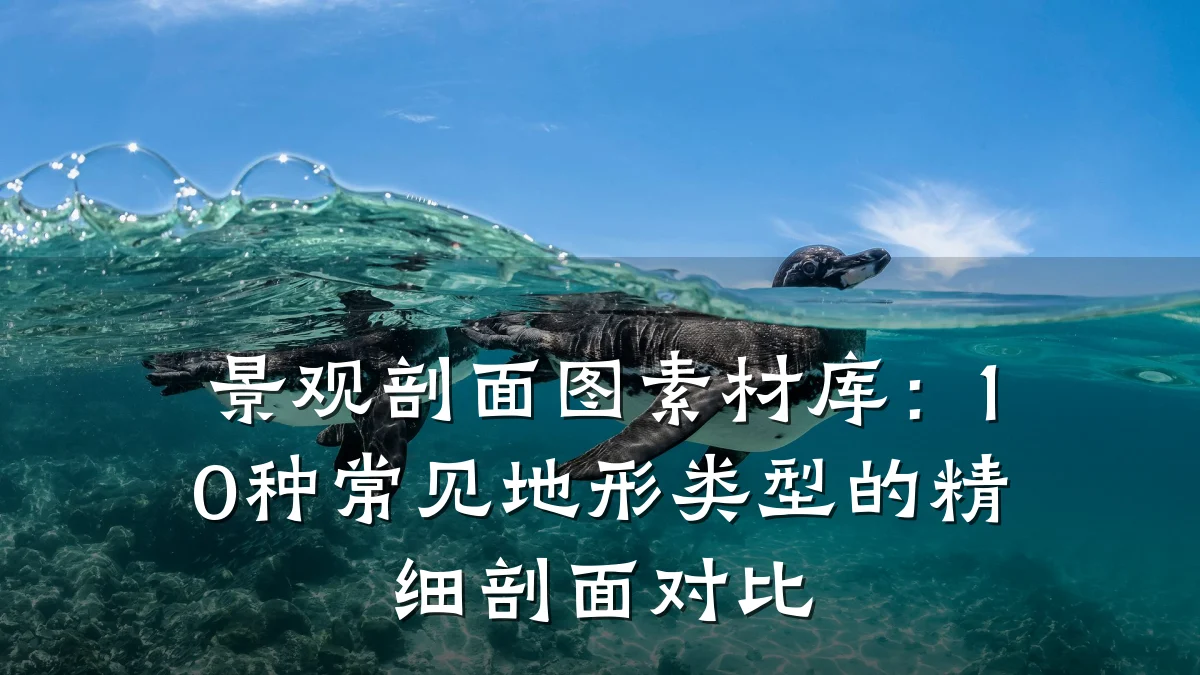 景观剖面图素材库:10种常见地形类型的精细剖面对比