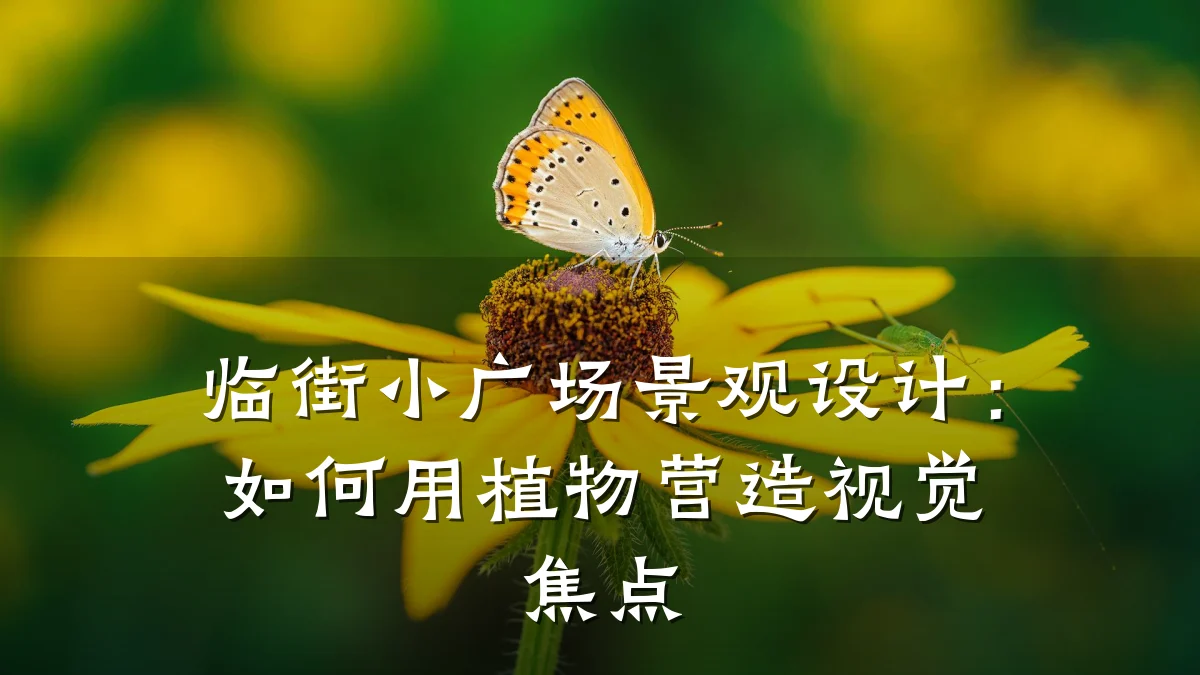 临街小广场景观设计:如何用植物营造视觉焦点