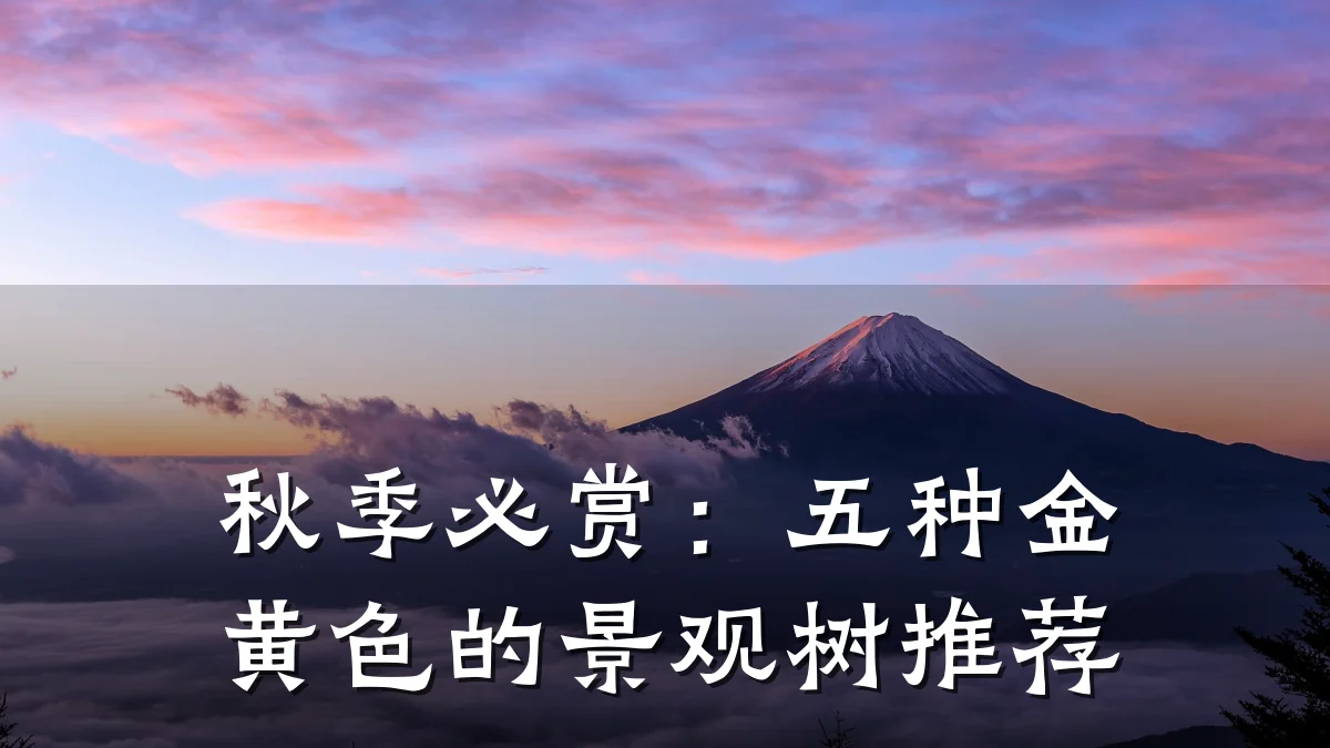 秋季必赏:五种金黄色的景观树推荐