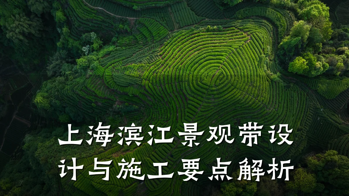 上海滨江景观带设计与施工要点解析