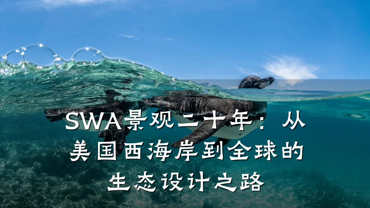 SWA景观二十年:从美国西海岸到全球的生态设计之路