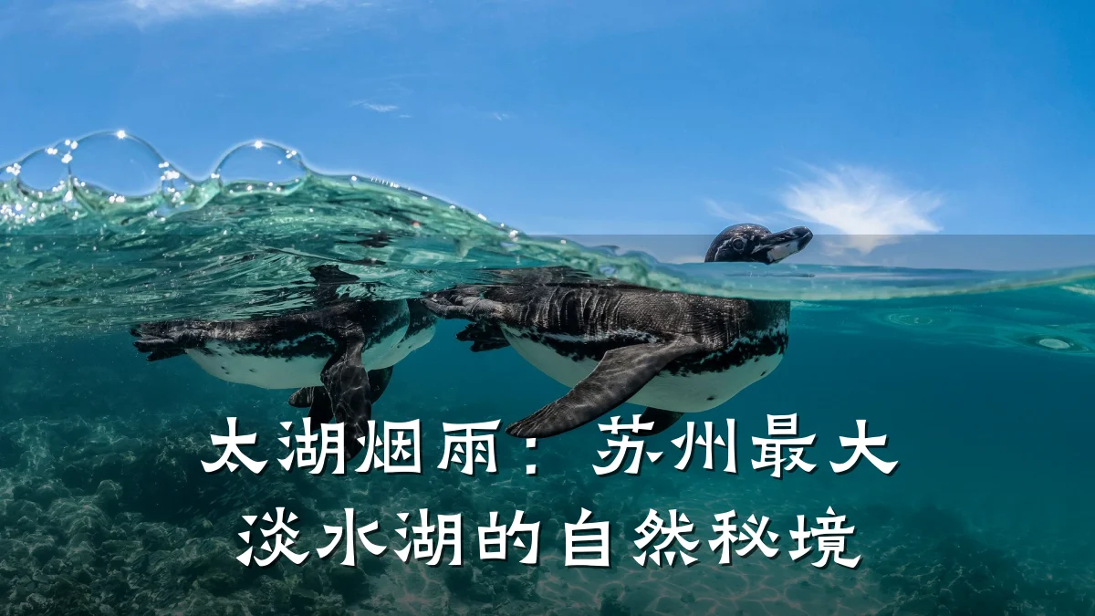 太湖烟雨:苏州最大淡水湖的自然秘境
