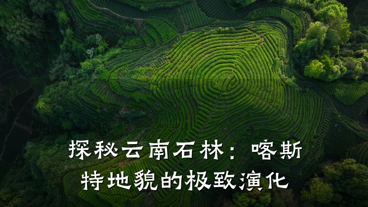 探秘云南石林:喀斯特地貌的极致演化