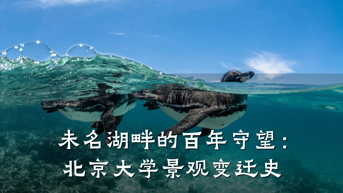 未名湖畔的百年守望:北京大学景观变迁史