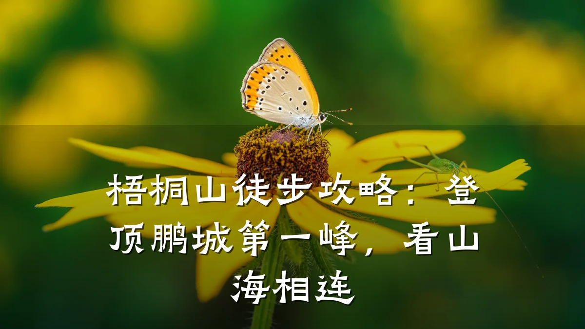 梧桐山徒步攻略:登顶鹏城第一峰,看山海相连