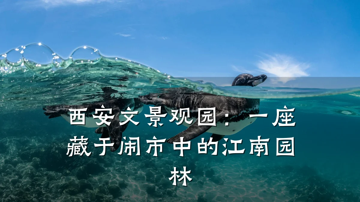 西安文景观园：一座藏于闹市中的江南园林