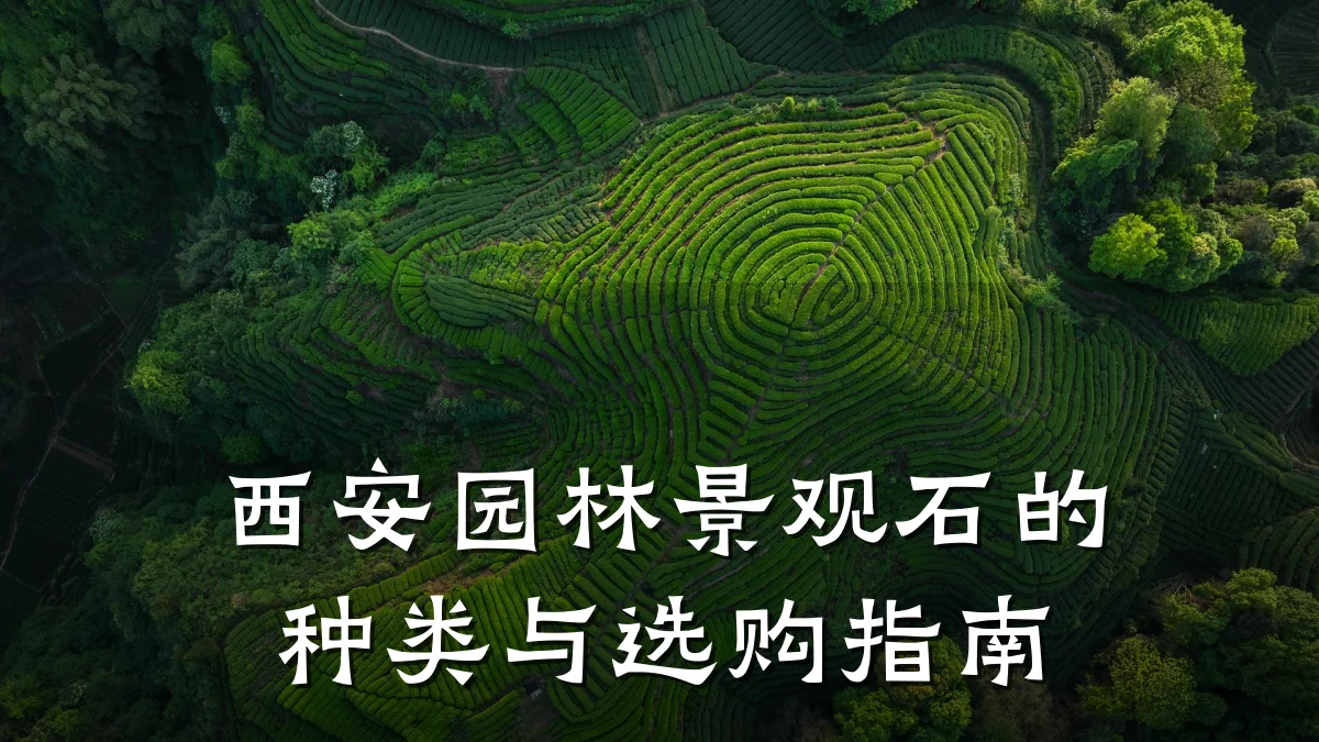西安园林景观石的种类与选购指南