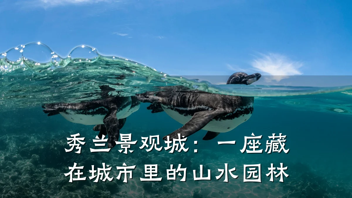 秀兰景观城：一座藏在城市里的山水园林