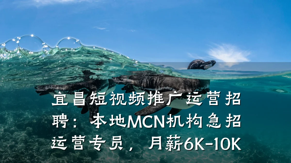 宜昌短视频推广运营招聘:本地MCN机构急招运营专员,月薪6K-10K