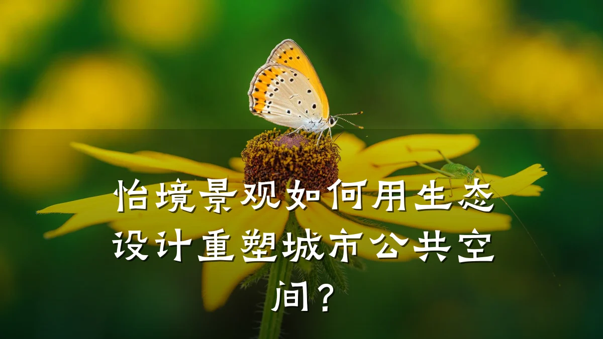 怡境景观如何用生态设计重塑城市公共空间?