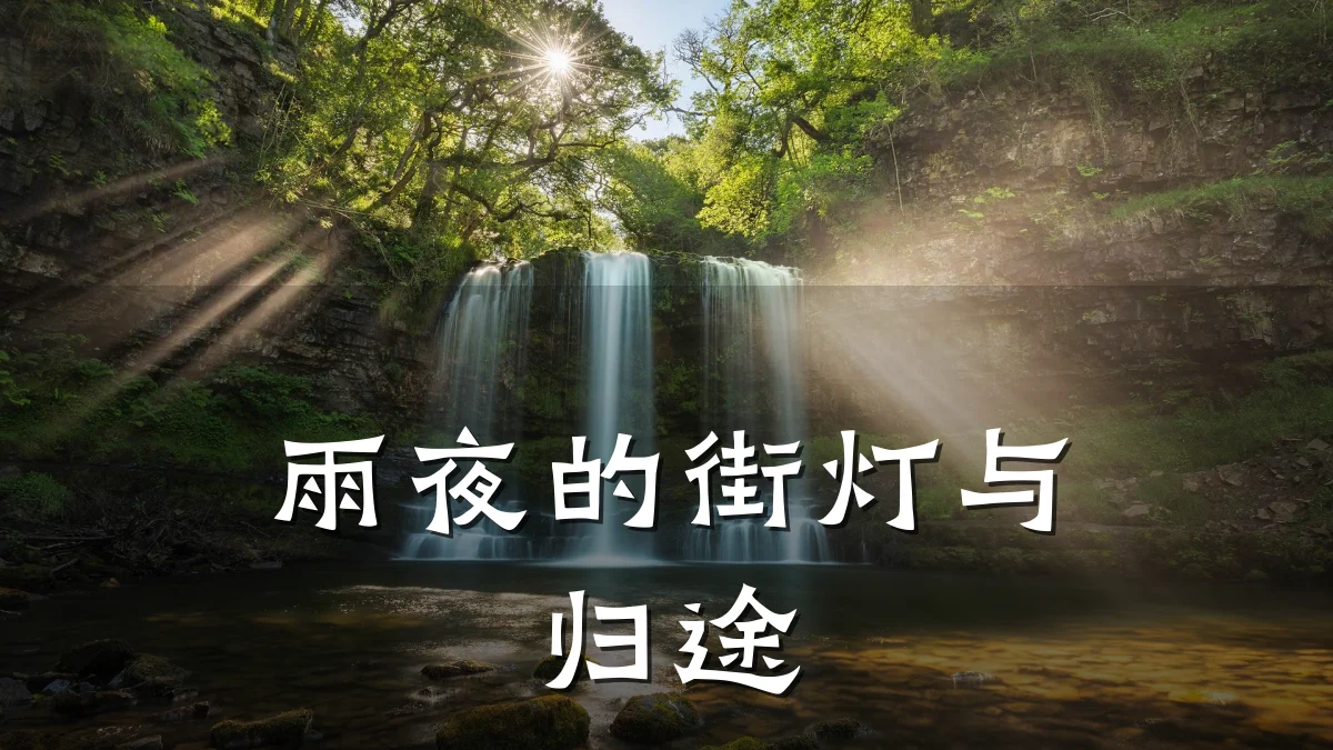 雨夜的街灯与归途