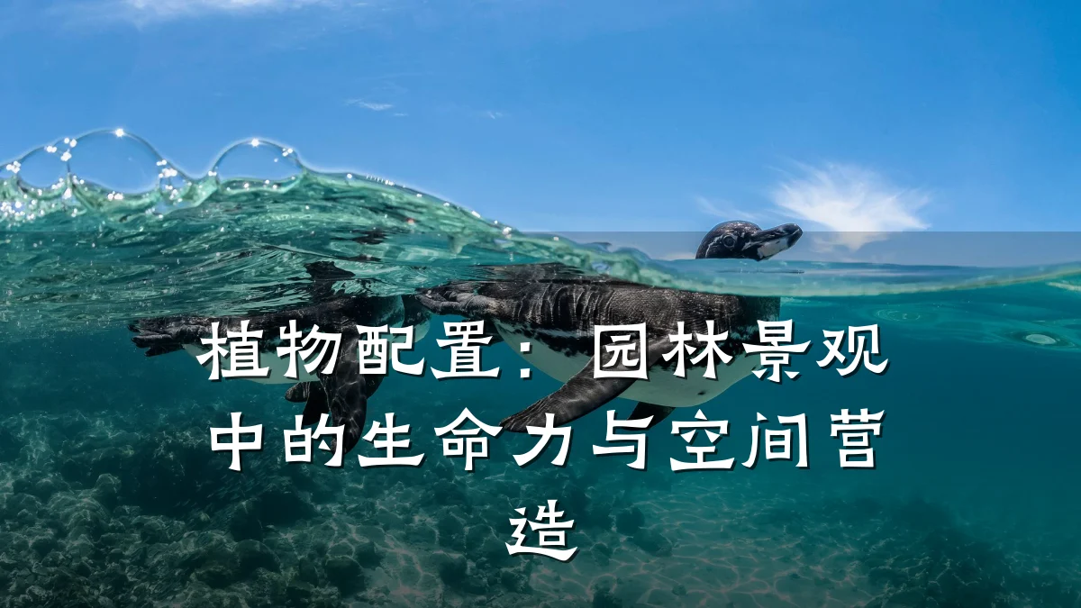 植物配置:园林景观中的生命力与空间营造