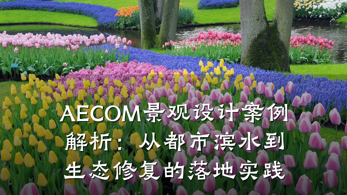AECOM景观设计案例解析:从都市滨水到生态修复的落地实践