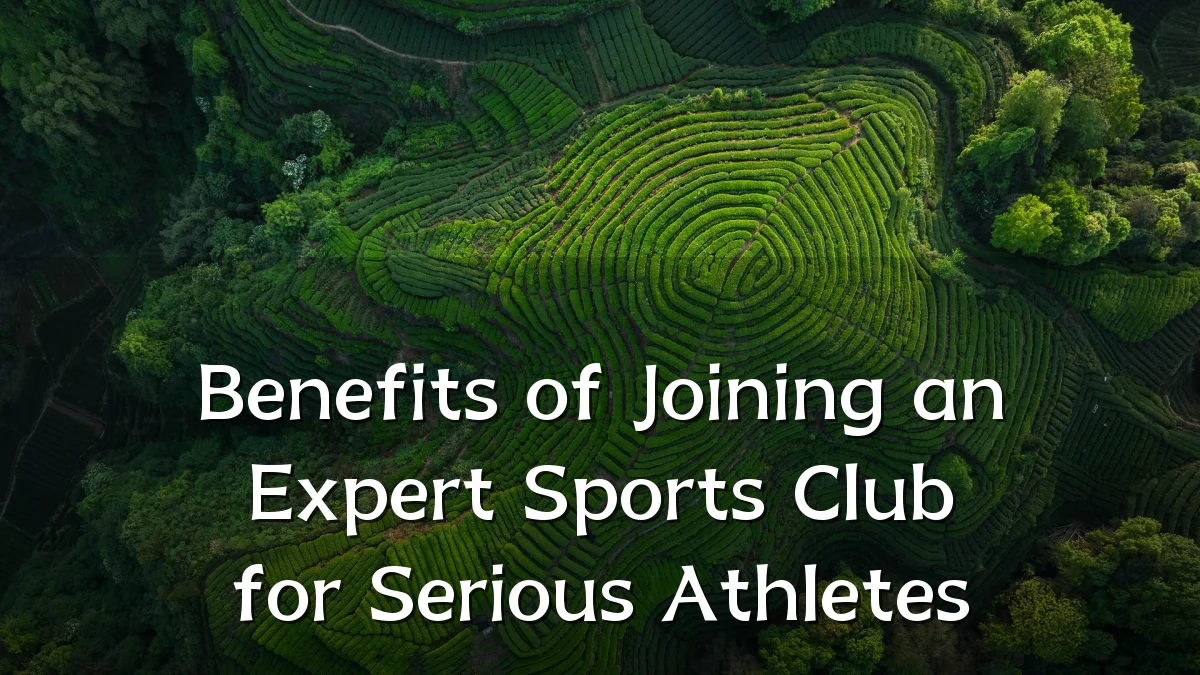 Benefits of Joining an Expert Sports Club for Serious Athletes