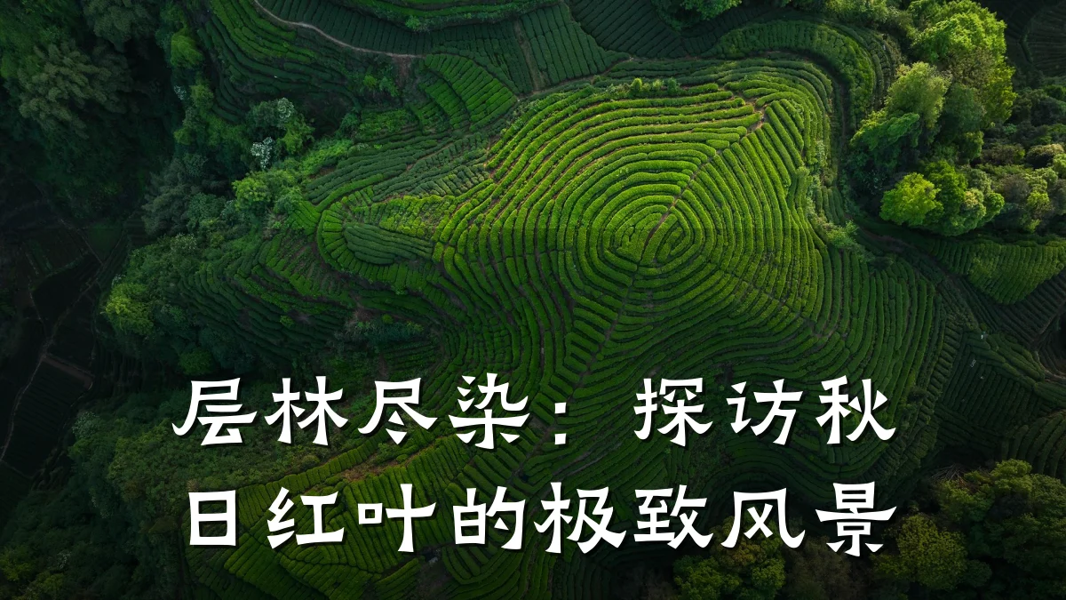 层林尽染:探访秋日红叶的极致风景