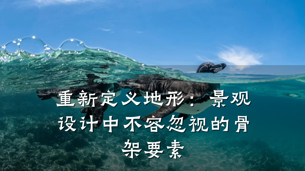 重新定义地形:景观设计中不容忽视的骨架要素
