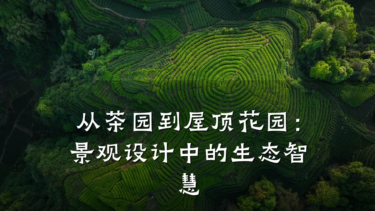 从茶园到屋顶花园：景观设计中的生态智慧