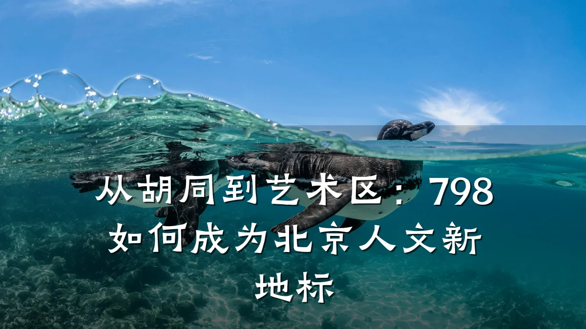 从胡同到艺术区:798如何成为北京人文新地标