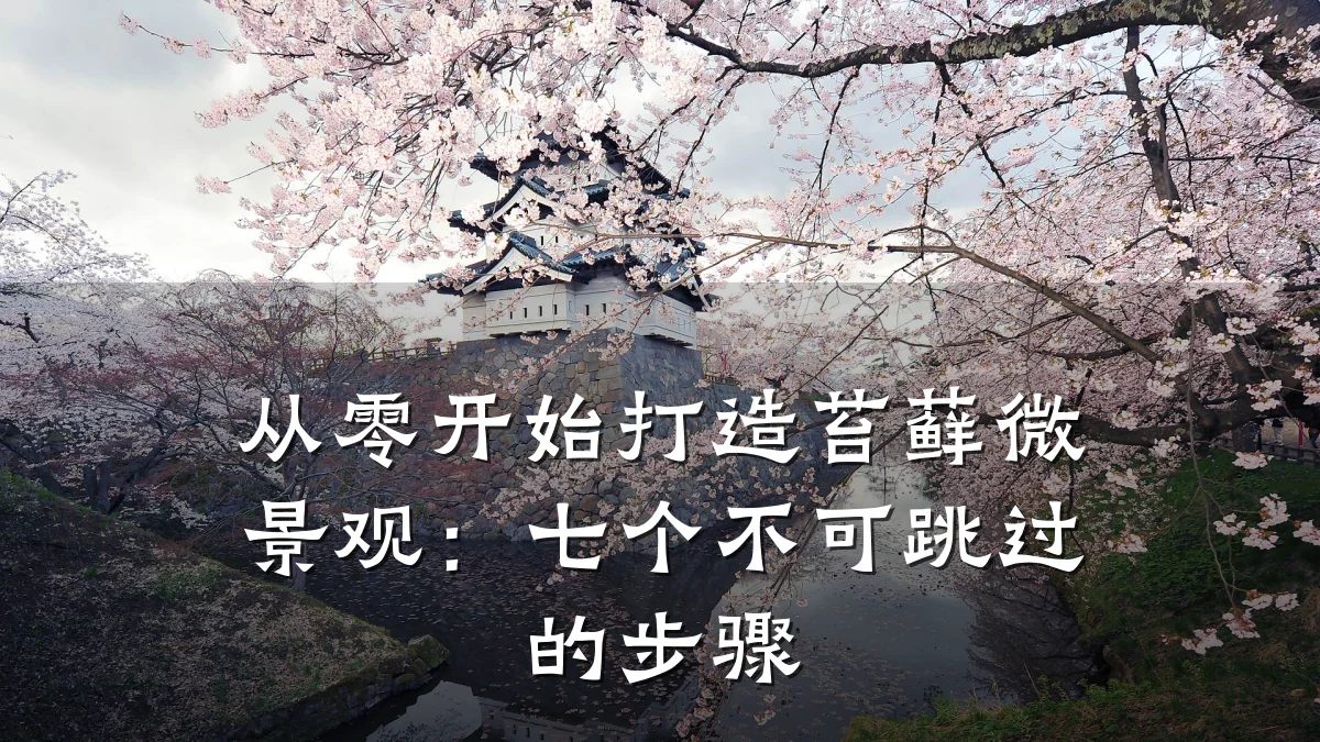 从零开始打造苔藓微景观:七个不可跳过的步骤