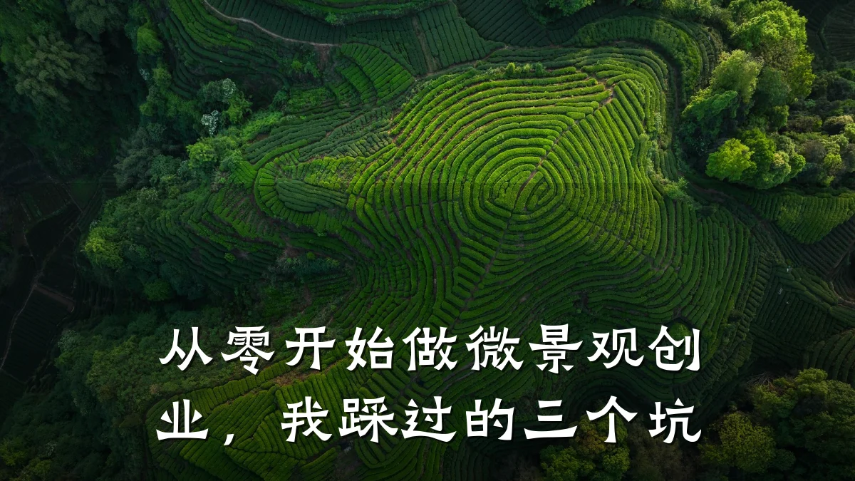 从零开始做微景观创业,我踩过的三个坑