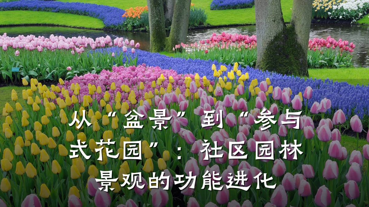从“盆景”到“参与式花园”:社区园林景观的功能进化