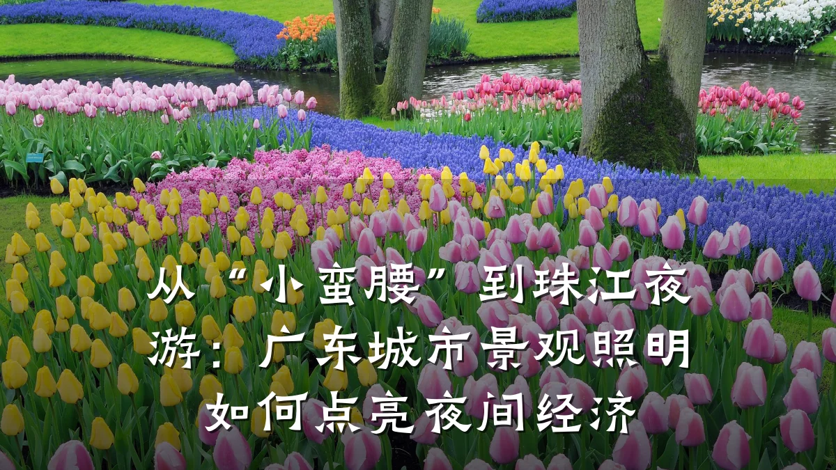 从“小蛮腰”到珠江夜游:广东城市景观照明如何点亮夜间经济