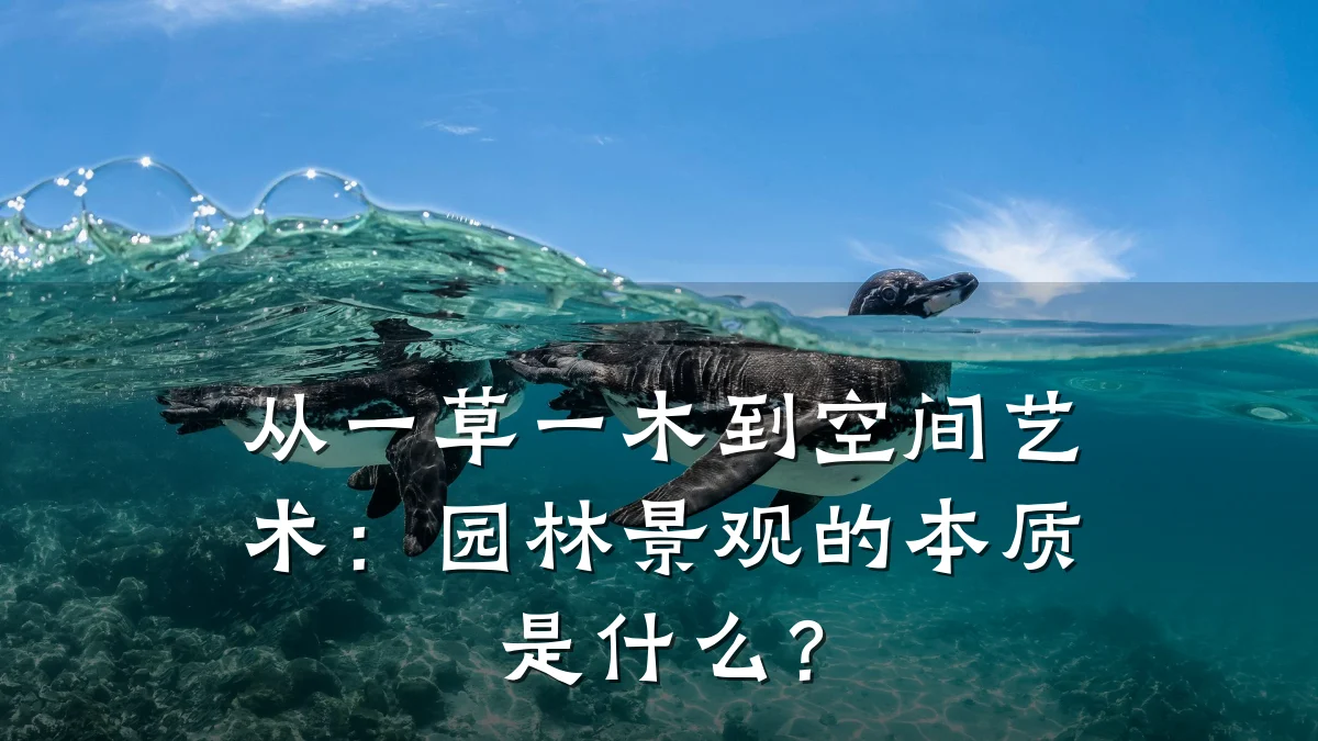 从一草一木到空间艺术：园林景观的本质是什么？