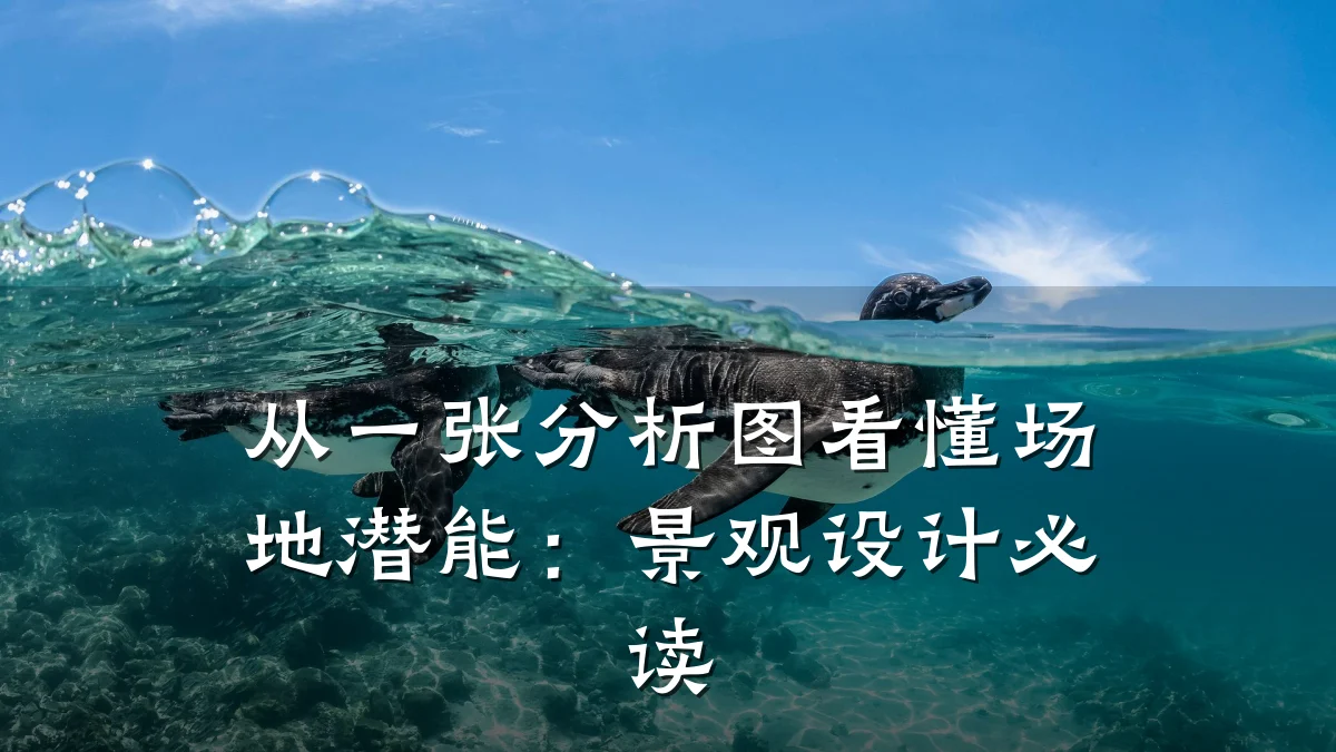 从一张分析图看懂场地潜能:景观设计必读