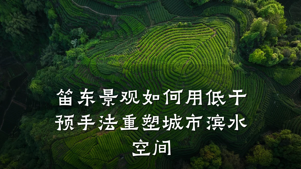 笛东景观如何用低干预手法重塑城市滨水空间