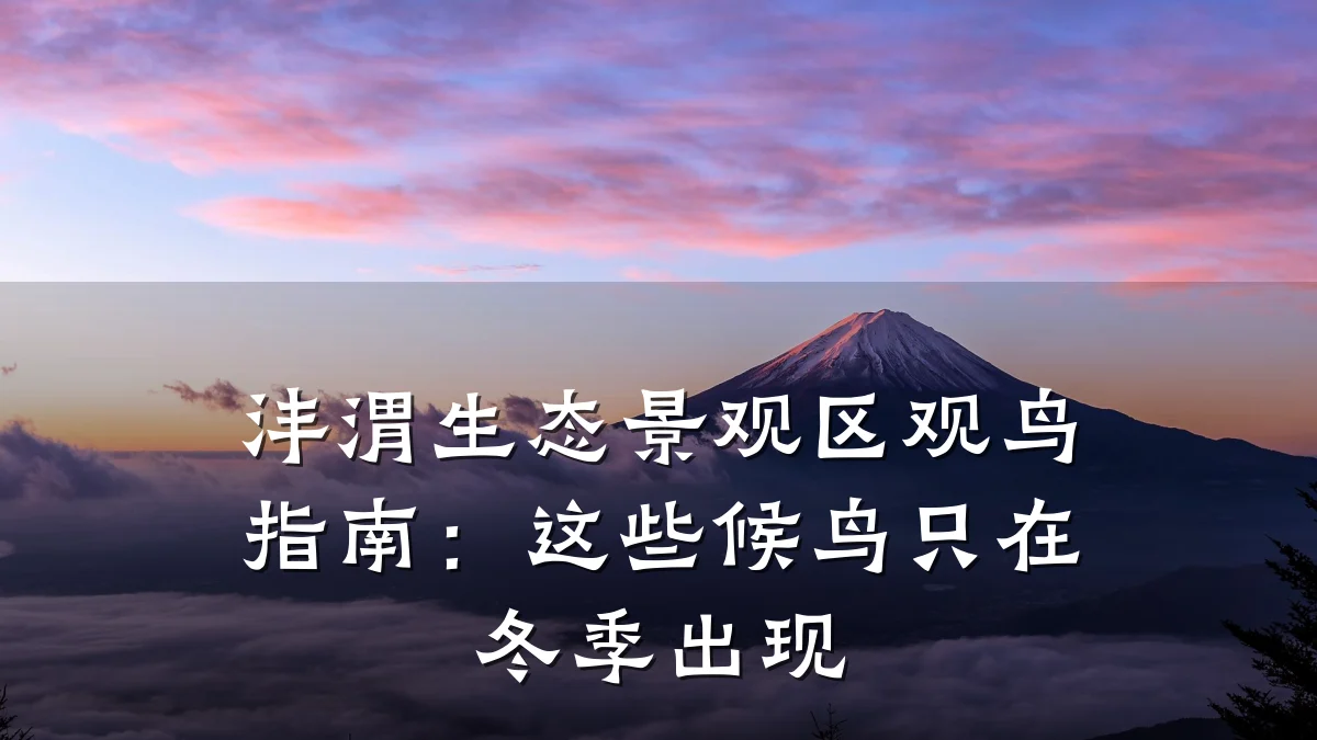 沣渭生态景观区观鸟指南:这些候鸟只在冬季出现