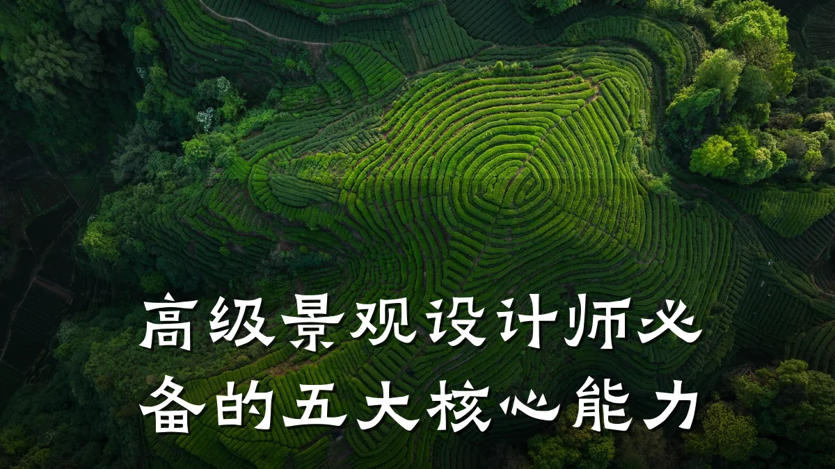 高级景观设计师必备的五大核心能力