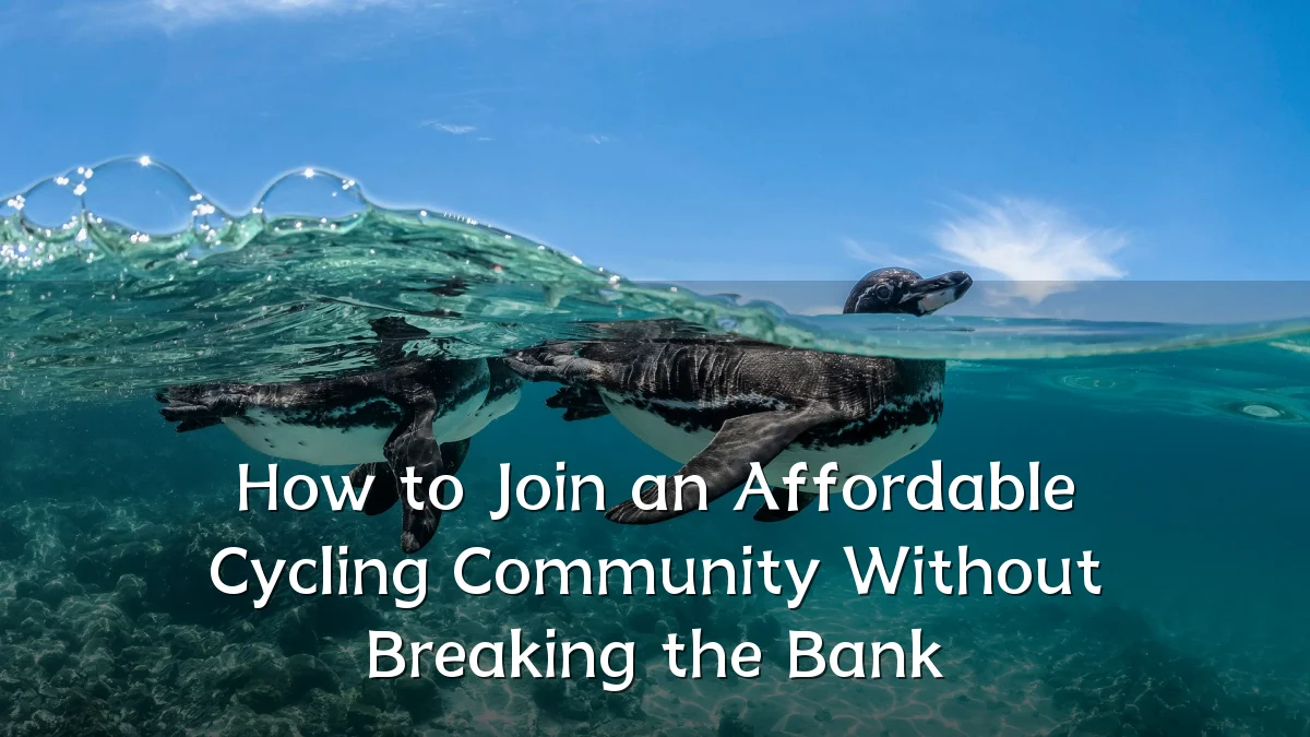 How to Join an Affordable Cycling Community Without Breaking the Bank