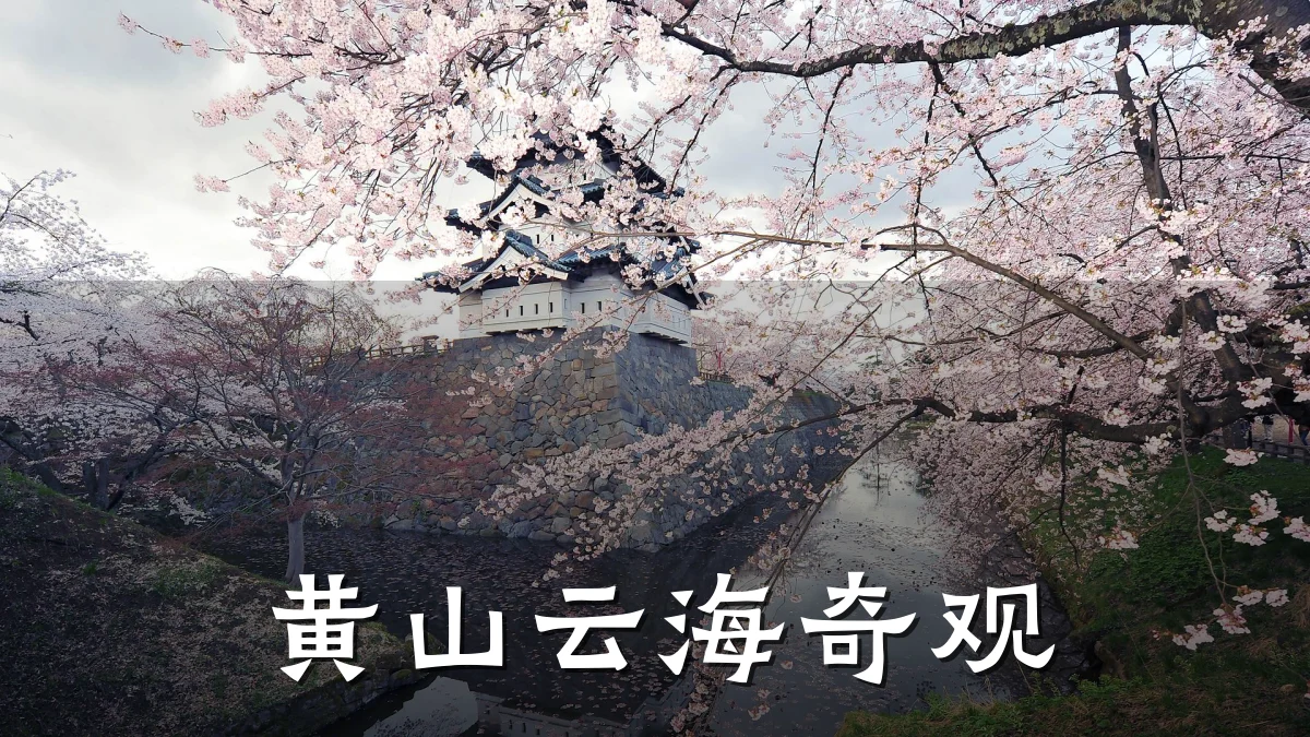 黄山云海奇观