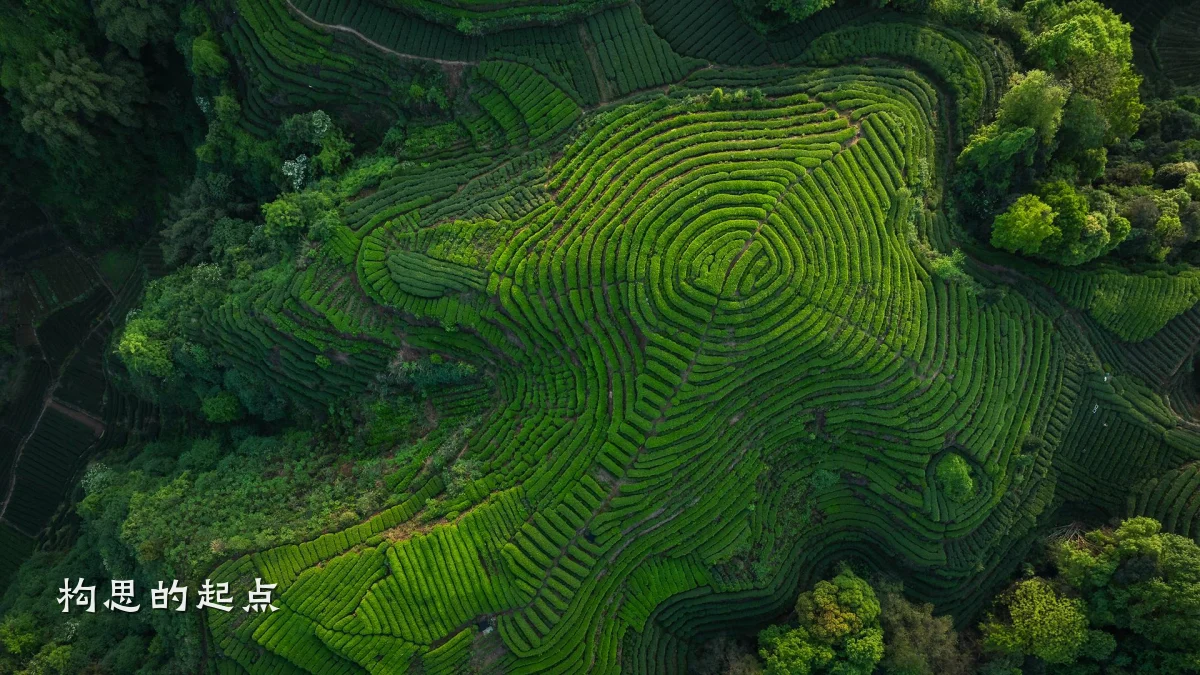 构思的起点