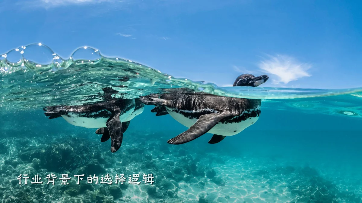 行业背景下的选择逻辑