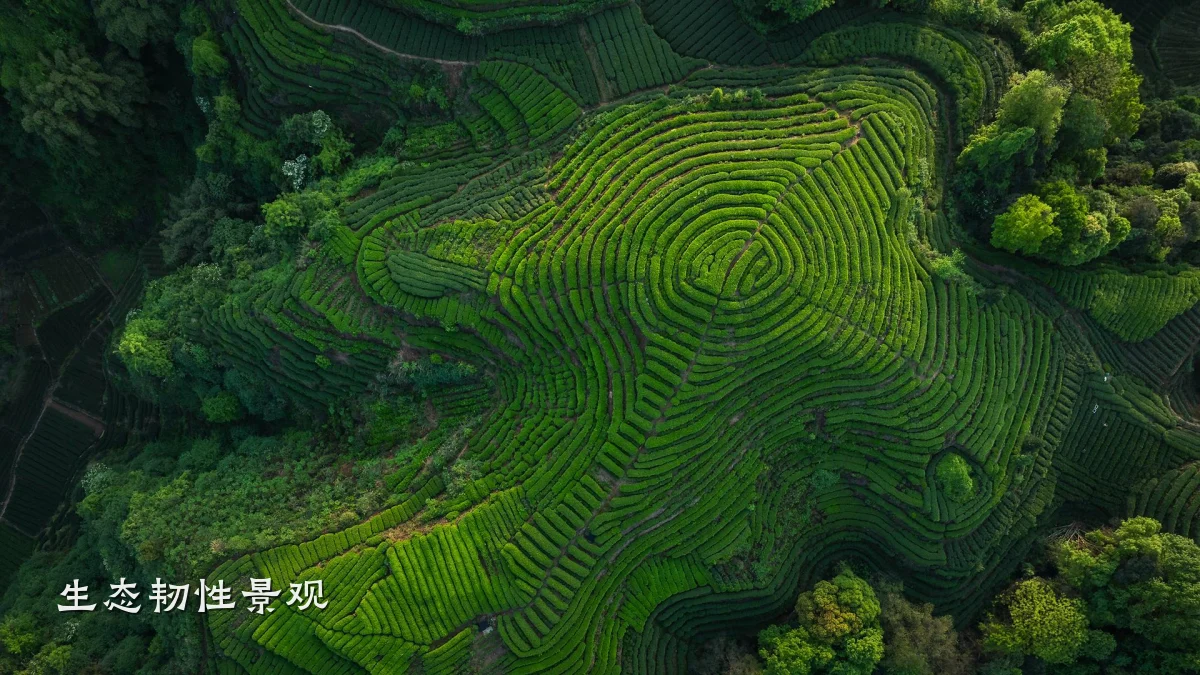生态韧性景观