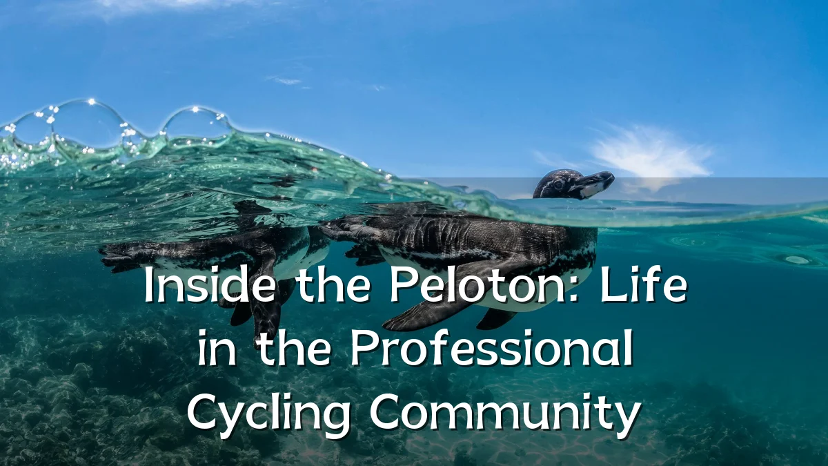 Inside the Peloton: Life in the Professional Cycling Community