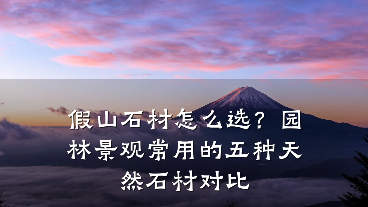 假山石材怎么选?园林景观常用的五种天然石材对比