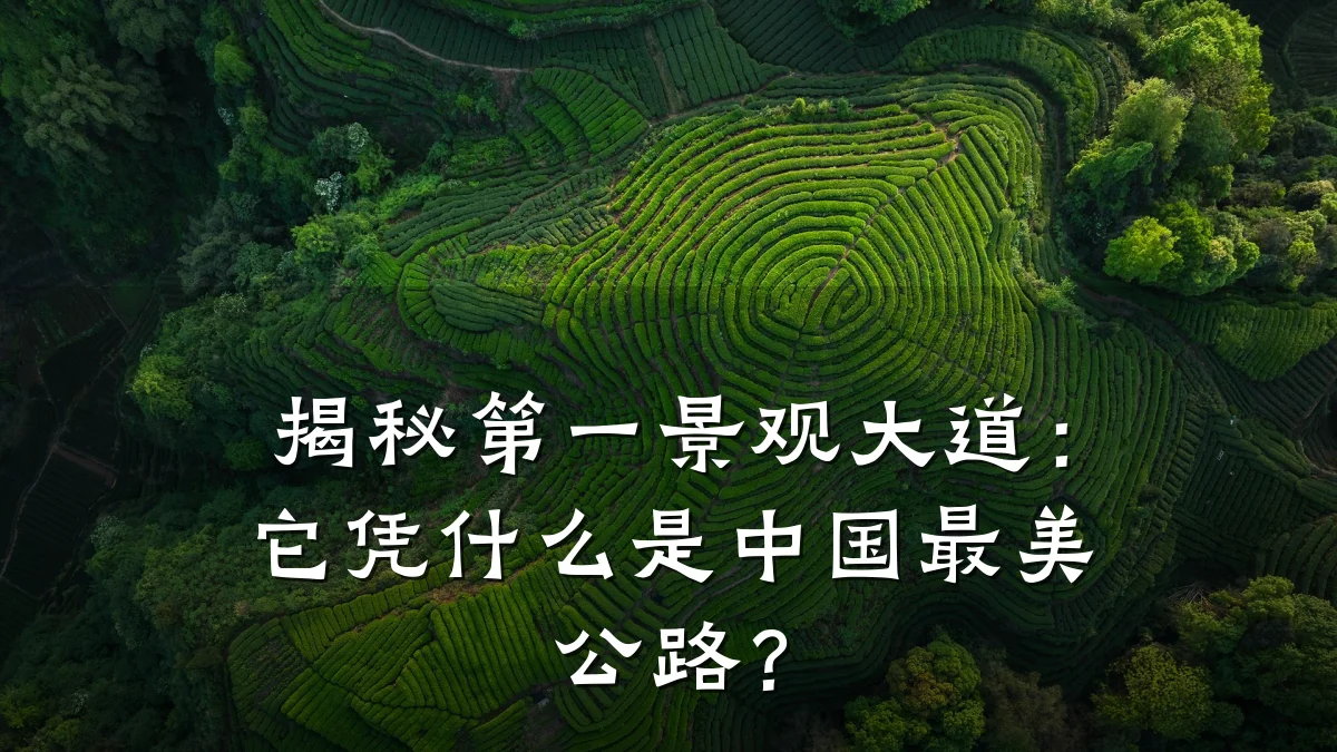 揭秘第一景观大道:它凭什么是中国最美公路?
