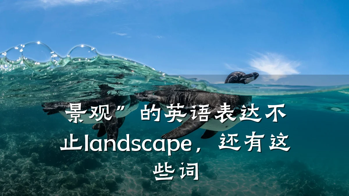 景观”的英语表达不止landscape,还有这些词