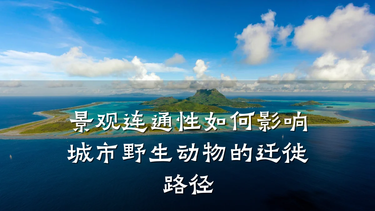 景观连通性如何影响城市野生动物的迁徙路径