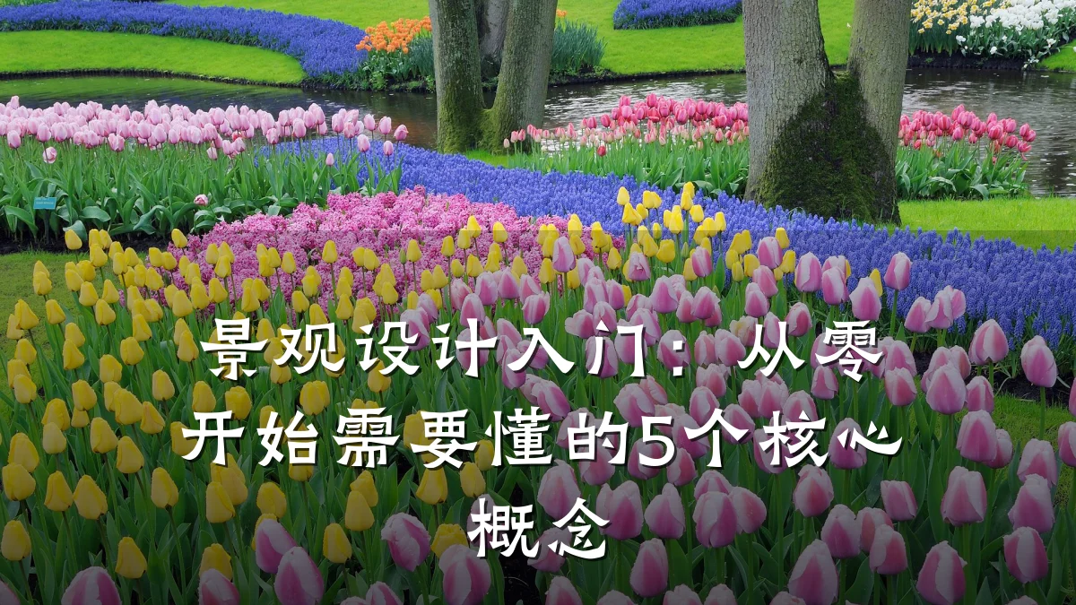 景观设计入门:从零开始需要懂的5个核心概念