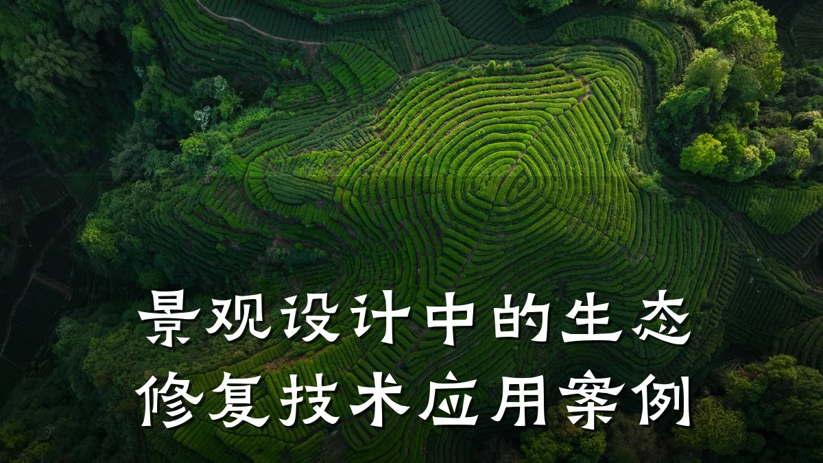 景观设计中的生态修复技术应用案例