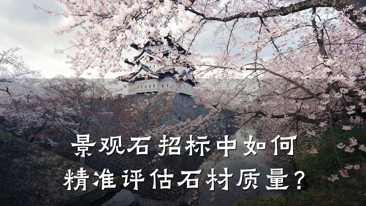 景观石招标中如何精准评估石材质量?