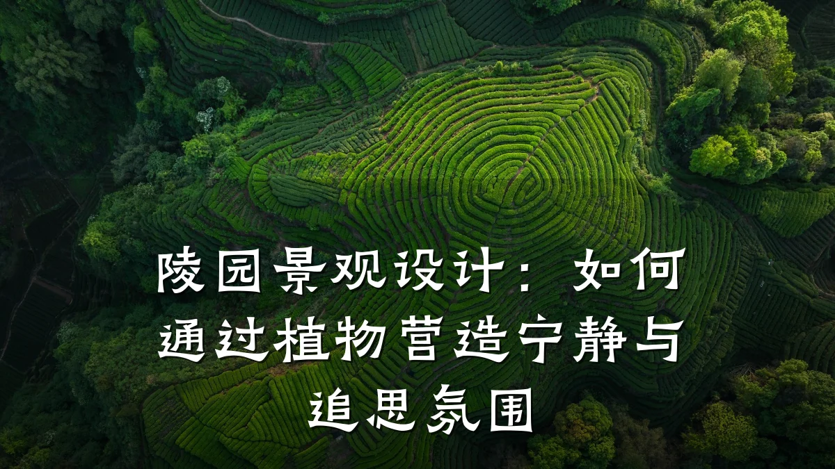 陵园景观设计:如何通过植物营造宁静与追思氛围
