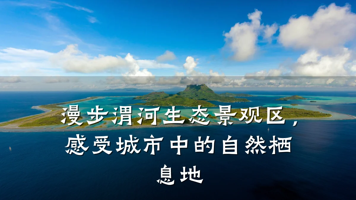 漫步渭河生态景观区,感受城市中的自然栖息地
