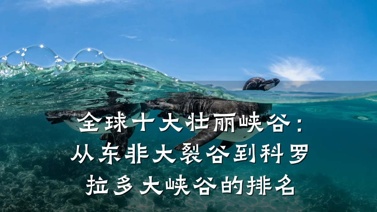 全球十大壮丽峡谷:从东非大裂谷到科罗拉多大峡谷的排名